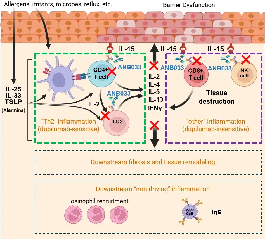 graphic related to Eosinophilic Esophagitis