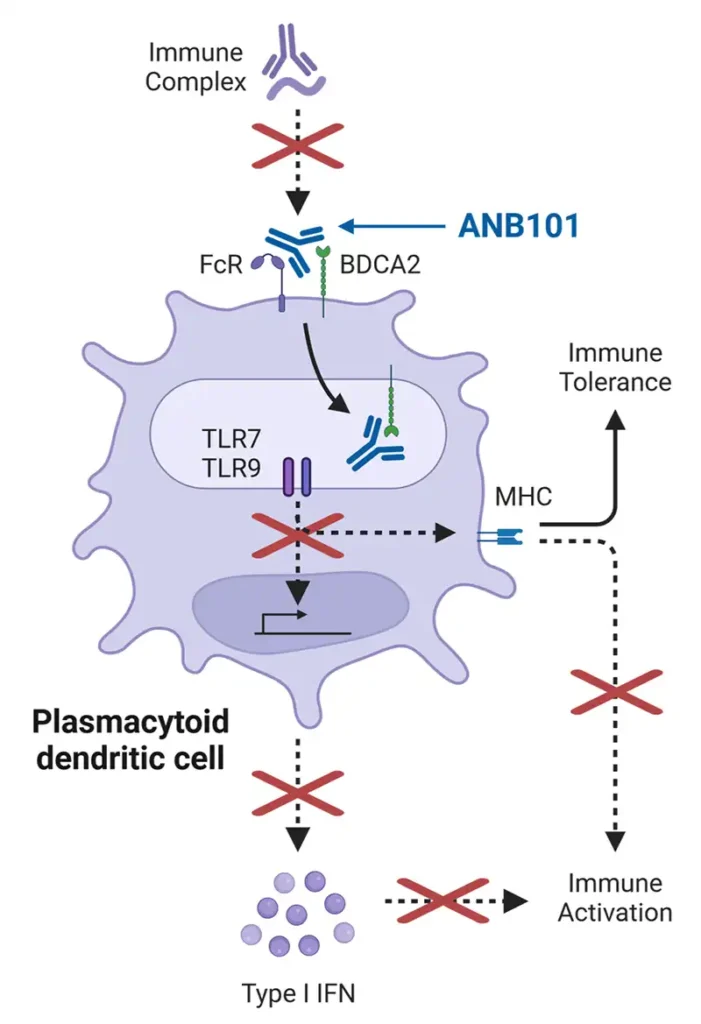 graphic related to ANB101