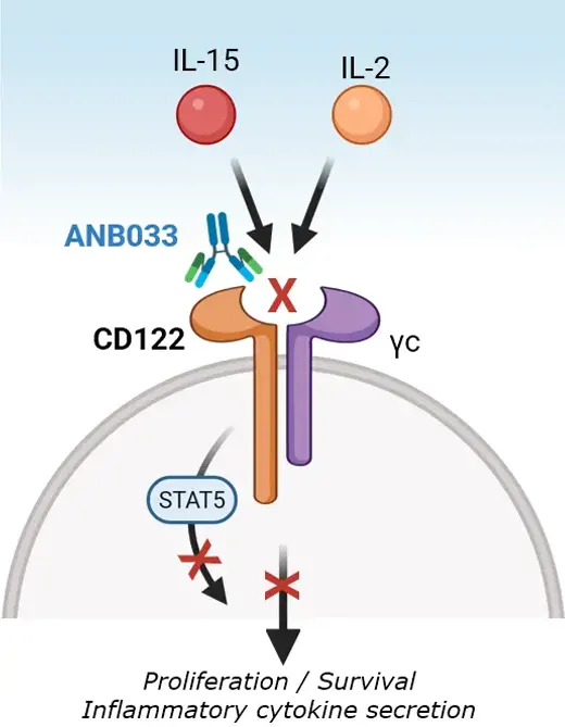 graphic related to ANB033