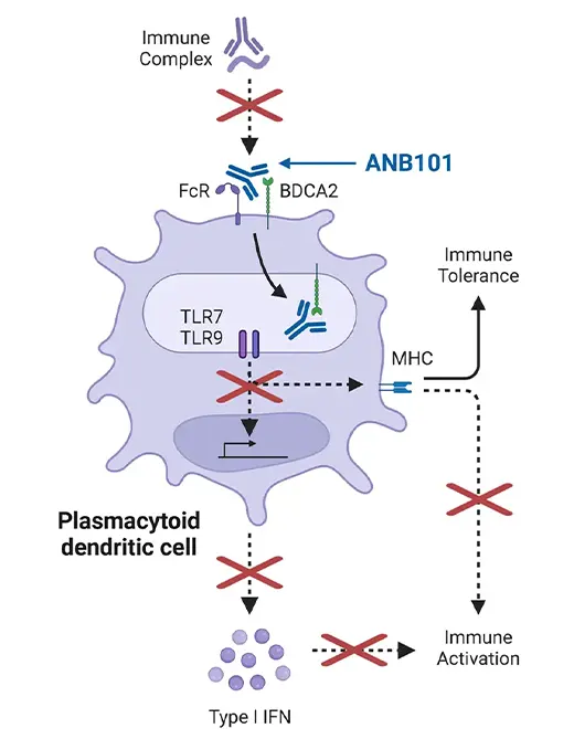 graphic related to ANB101