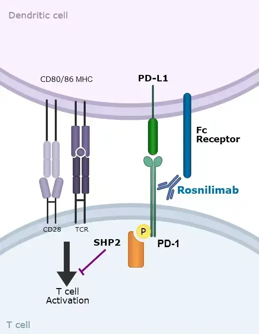graphic related to Rosnilimab